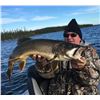 Image 7 : Lawrence Bay Lodge Fly-In Fishing Trip – Saskatchewan, 2 Anglers