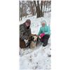 Image 10 : Minnesota Youth Ram Hunt for One Hunter - 1 Day