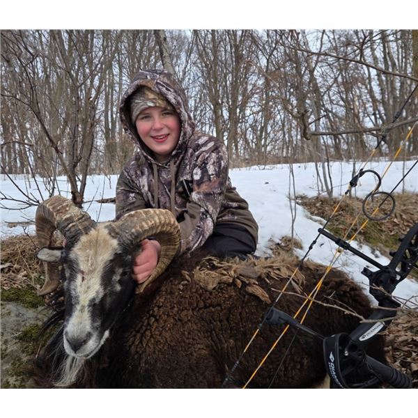 Minnesota Youth Ram Hunt for One Hunter - 1 Day