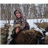 Image 1 : Minnesota Youth Ram Hunt for One Hunter - 1 Day