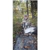Image 2 : Minnesota Youth Ram Hunt for One Hunter - 1 Day