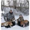 Image 4 : Minnesota Youth Ram Hunt for One Hunter - 1 Day