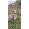 Image 7 : Minnesota Youth Ram Hunt for One Hunter - 1 Day