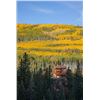 Image 2 : Wild Skies Cabin Rental – NW Colorado / Unguided Hunt for 1 Hunter