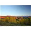 Image 8 : Wild Skies Cabin Rental – NW Colorado / Unguided Hunt for 1 Hunter