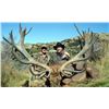 Image 13 : John Scurr Hunting Tours – Red Stag for 2 Hunters