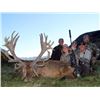 Image 4 : John Scurr Hunting Tours – Red Stag for 2 Hunters
