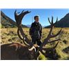Image 5 : John Scurr Hunting Tours – Red Stag for 2 Hunters