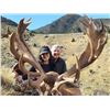 Image 6 : John Scurr Hunting Tours – Red Stag for 2 Hunters