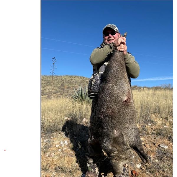 AZ B and B Outfitters – Arizona Javelina for 2 Hunters (Archery or Rifle)