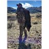 Image 6 : AZ B and B Outfitters – Arizona Javelina for 2 Hunters (Archery or Rifle)