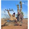 Image 8 : AZ B and B Outfitters – Arizona Javelina for 2 Hunters (Archery or Rifle)