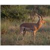 Image 4 : South Africa, Eastern Cape– 7 Hunting Days, 3 Hunters