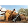 Image 9 : Sporting Adventures Intl. Monkane Safaris - South Africa 2 Hunters, 3 Animals