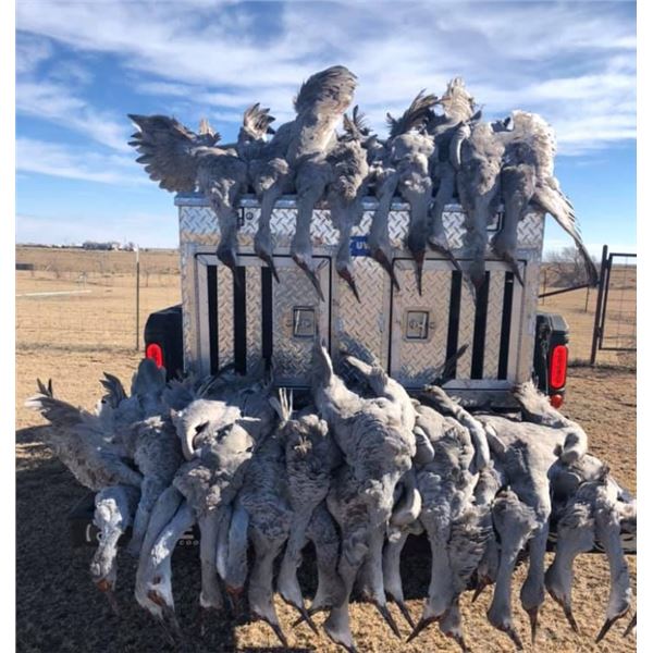 Texas Sandhill Crane Hunt – 2 Hunters, 3 Days / 3 Nights
