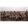 Image 2 : Texas Sandhill Crane Hunt – 2 Hunters, 3 Days / 3 Nights
