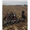 Image 3 : Texas Sandhill Crane Hunt – 2 Hunters, 3 Days / 3 Nights