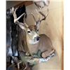 Image 2 : Bakers Adrenaline Outfitters – Alberta Archery Whitetail 2 Hunters