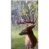 Image 4 : Bakers Adrenaline Outfitters – Alberta Archery Whitetail 2 Hunters