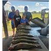 Image 7 : Big Lake Guide Service – Walleye or Salmon on Lake Sakakawea 4 People