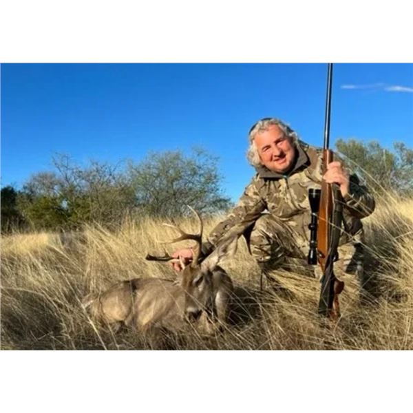 Mexican Coues Deer Hunt 2 Hunters (Safari Unlimted)