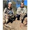 Image 2 : Mexican Coues Deer Hunt 2 Hunters (Safari Unlimted)