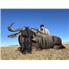 Image 3 : Africa Maximum Safaris-2 Hunters, 5 Species (1 each) & 2 Observers