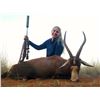 Image 4 : Africa Maximum Safaris-2 Hunters, 5 Species (1 each) & 2 Observers