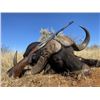 Image 7 : Africa Maximum Safaris-2 Hunters, 5 Species (1 each) & 2 Observers