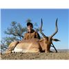 Image 10 : Leopard’s Valley Safaris – Credit Towards Eland, Red Lechwa, Sable, Roan, Giraffe 
