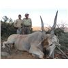 Image 11 : Leopard’s Valley Safaris – Credit Towards Eland, Red Lechwa, Sable, Roan, Giraffe 