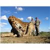 Image 1 : Leopard’s Valley Safaris – Credit Towards Eland, Red Lechwa, Sable, Roan, Giraffe 