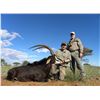 Image 2 : Leopard’s Valley Safaris – Credit Towards Eland, Red Lechwa, Sable, Roan, Giraffe 