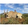 Image 4 : Leopard’s Valley Safaris – Credit Towards Eland, Red Lechwa, Sable, Roan, Giraffe 