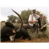 Image 6 : Leopard’s Valley Safaris – Credit Towards Eland, Red Lechwa, Sable, Roan, Giraffe 