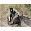 Image 7 : Leopard’s Valley Safaris – Credit Towards Eland, Red Lechwa, Sable, Roan, Giraffe 