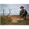 Image 8 : Leopard’s Valley Safaris – Credit Towards Eland, Red Lechwa, Sable, Roan, Giraffe 