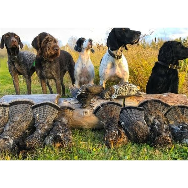 Kap River Outfitters – Ontario Grouse Hunt, 1 Hunter for 5 Days