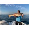 Image 2 : Cajun Queen Louisiana Fishing - 2 Anglers, 3 Days/4 Nights