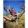 Image 2 : Southern Peak Safari – New Zealand  Red Stag 450-480” for 1 Hunter