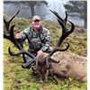 Image 3 : Southern Peak Safari – New Zealand  Red Stag 450-480” for 1 Hunter