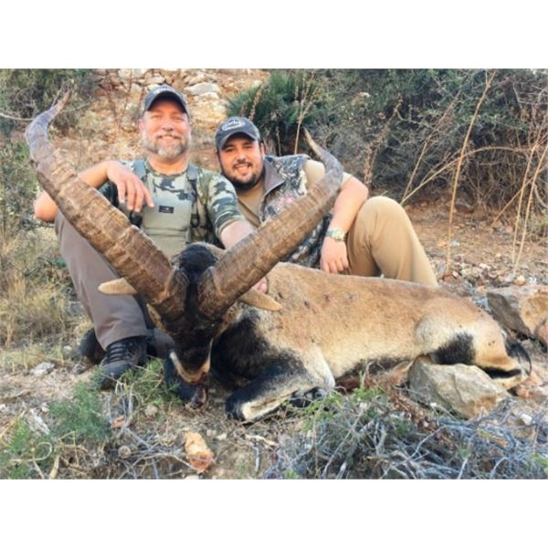 Corju Hunting Spain: 2 Southeastern Ibex Hunt – 2 Hunters