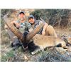 Image 1 : Corju Hunting Spain: 2 Southeastern Ibex Hunt – 2 Hunters