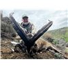 Image 3 : Corju Hunting Spain: 2 Southeastern Ibex Hunt – 2 Hunters