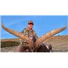 Image 5 : Corju Hunting Spain: 2 Southeastern Ibex Hunt – 2 Hunters