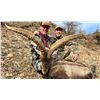 Image 6 : Corju Hunting Spain: 2 Southeastern Ibex Hunt – 2 Hunters