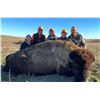 Image 2 : Bison Hunt in South Dakota – Prairie Sky Ranch