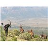 Image 10 : Leopard’s Valley Safaris – 1 Junior Hunter with 1 Parent, 7 Days