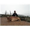 Image 14 : Leopard’s Valley Safaris – 1 Junior Hunter with 1 Parent, 7 Days