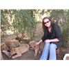 Image 2 : Leopard’s Valley Safaris – 1 Junior Hunter with 1 Parent, 7 Days